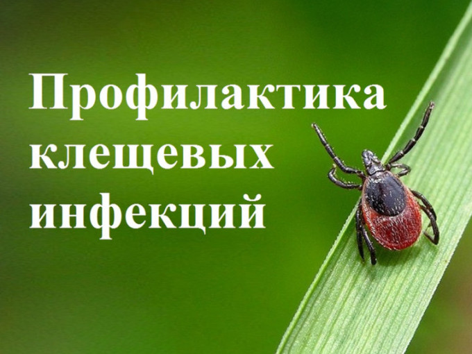Меры профилактики клещевых инфекций Меры профилактики клещевых инфекций.